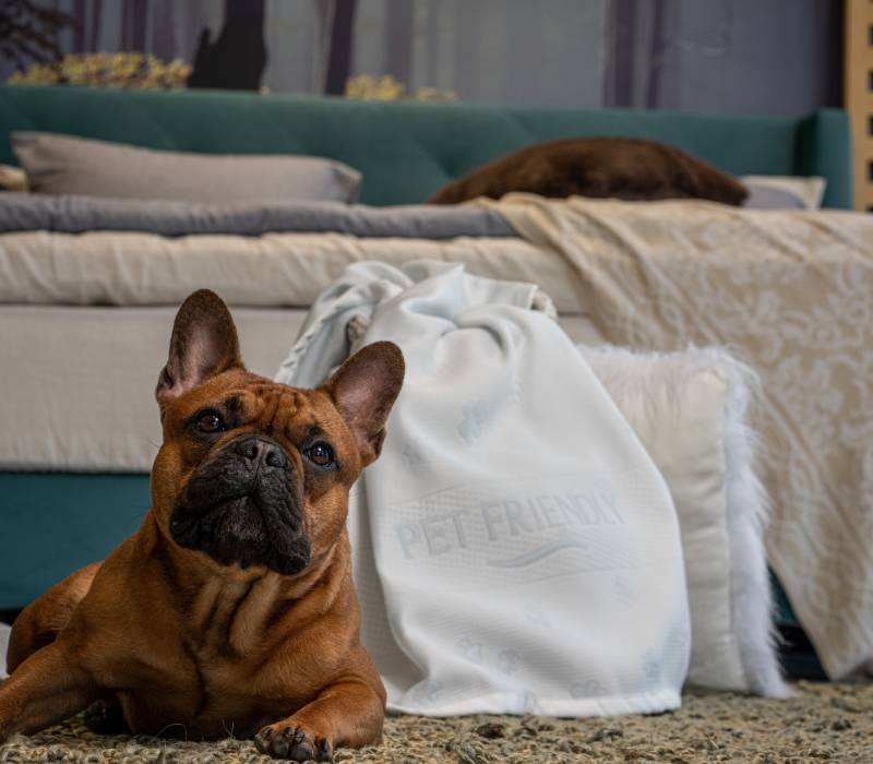 Protective Pet friendly Media Strom