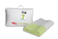 Aloe Anatomic
