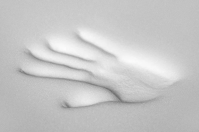 Prime Galaxy Premium anesh