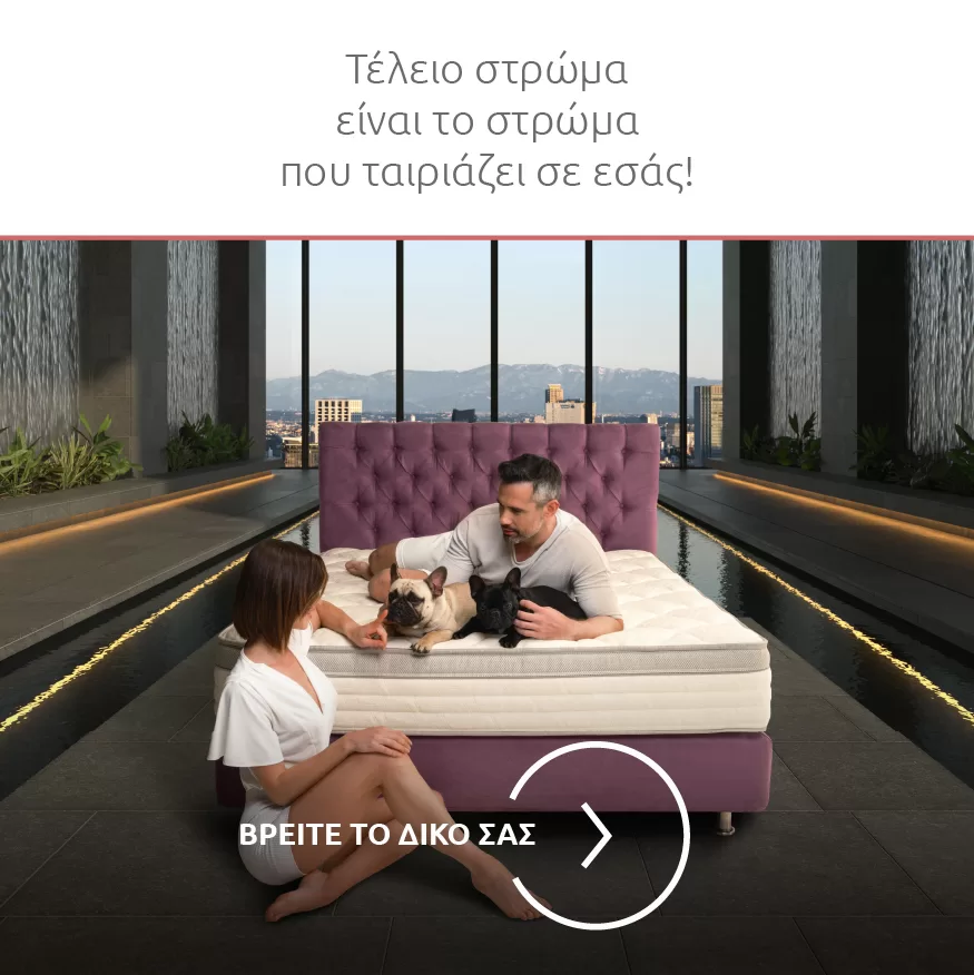 Νέο Σπίτι-Νέο Κρεβάτι-4-B Ζευγάρι με δύο μικρά σκυλιά πάνω σε σύστημα ύπνου της Media Strom.